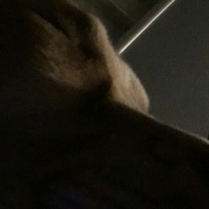 Meet your Posher, Jesse